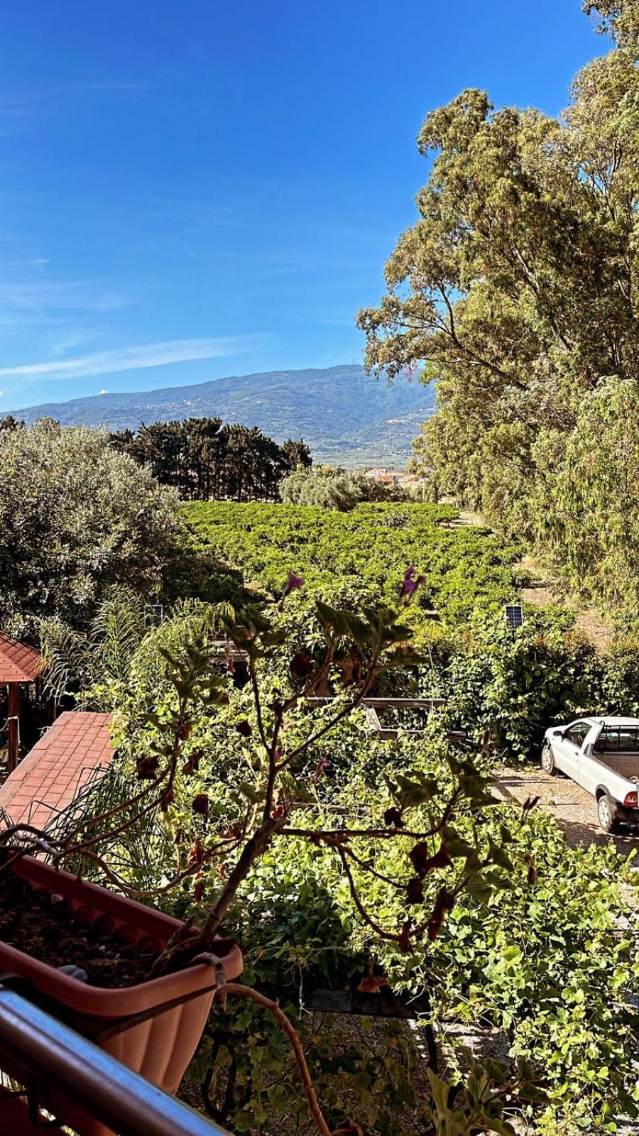 B&B Pineta Mare Lamezia Terme Exterior photo